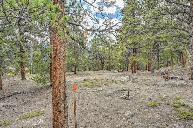 a view of a field with trees in the background