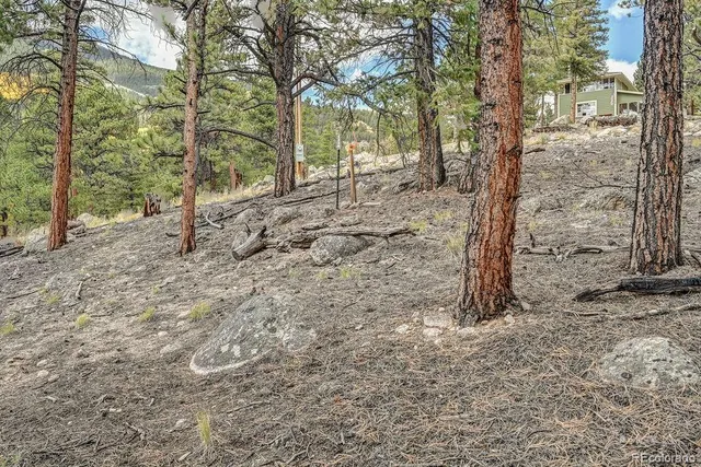 $299,000 | 341 County Road 26, Twin Lakes, CO 81251