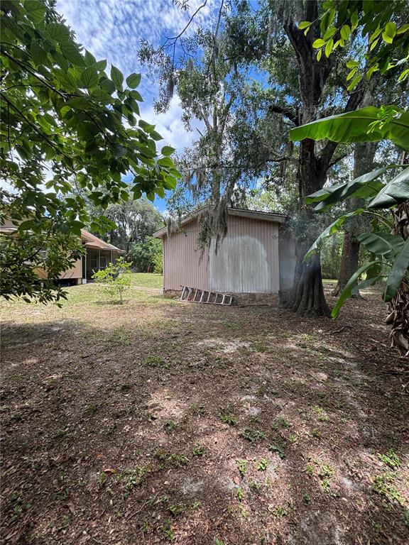 13232 Blissfield Road Odessa, FL 33556 - Photo 14 of 35