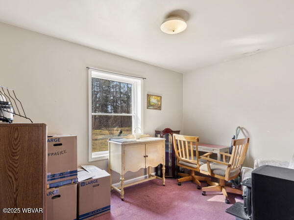 164 Browns Pond Road Dushore, PA 18614 - Photo 16 of 36 013_ThJ5
