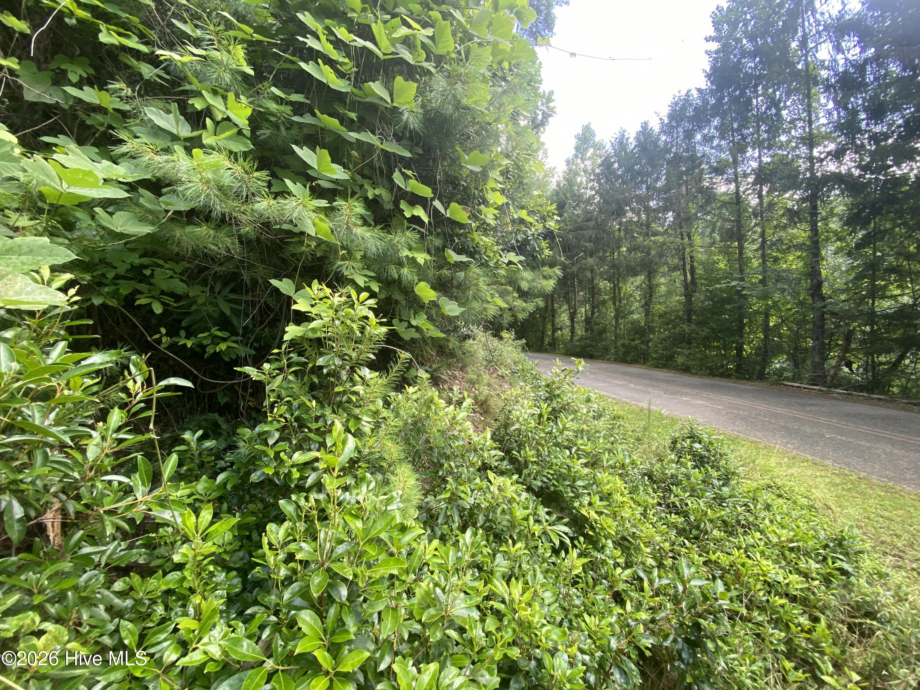 367 Chastain Road Murphy, NC 28906 - Photo 8 of 12