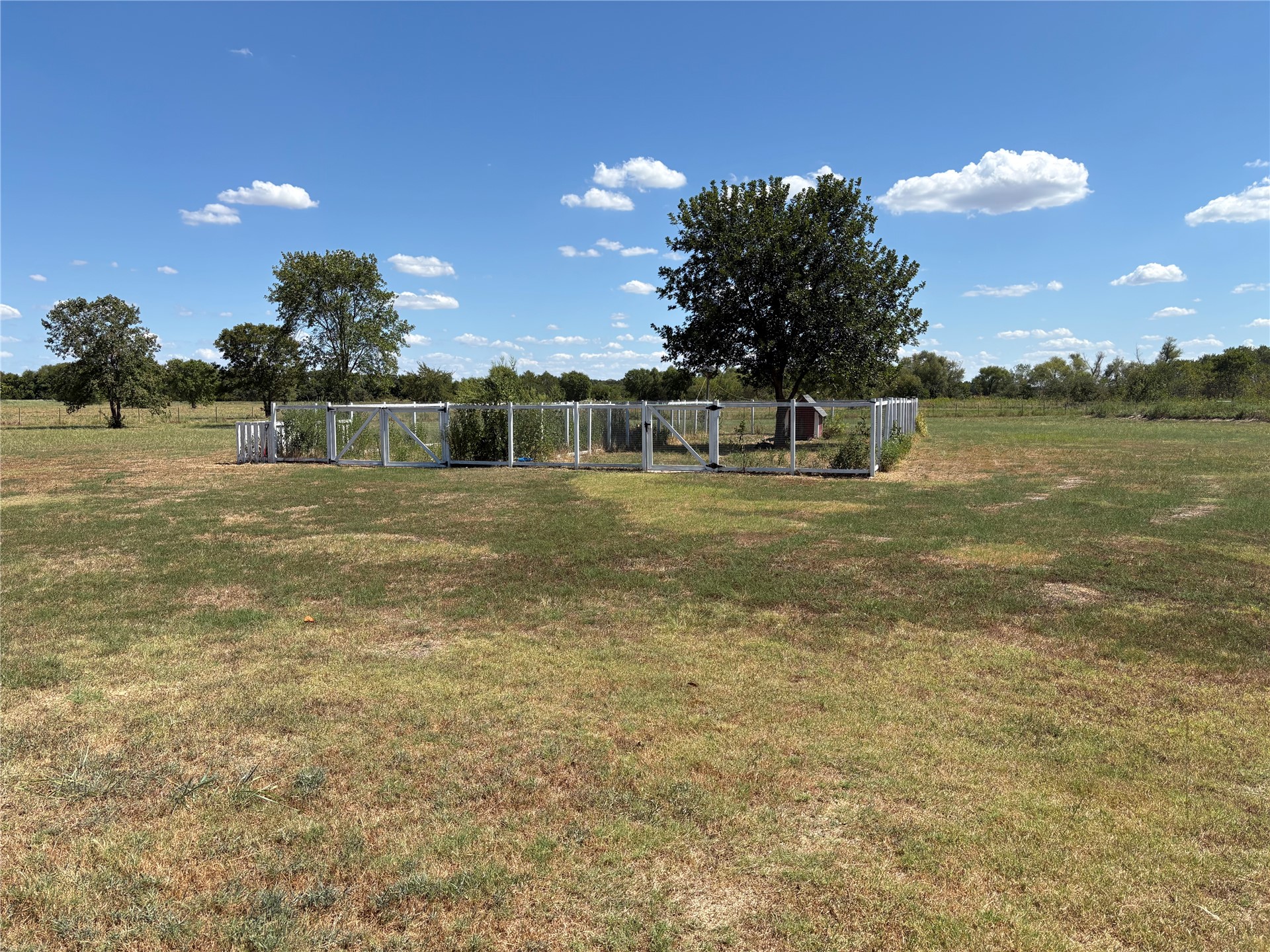 313 Nauvoo Hills Road Caddo, OK 74729 - Photo 28 of 41 Fenced garden area with a small shed and mature trees