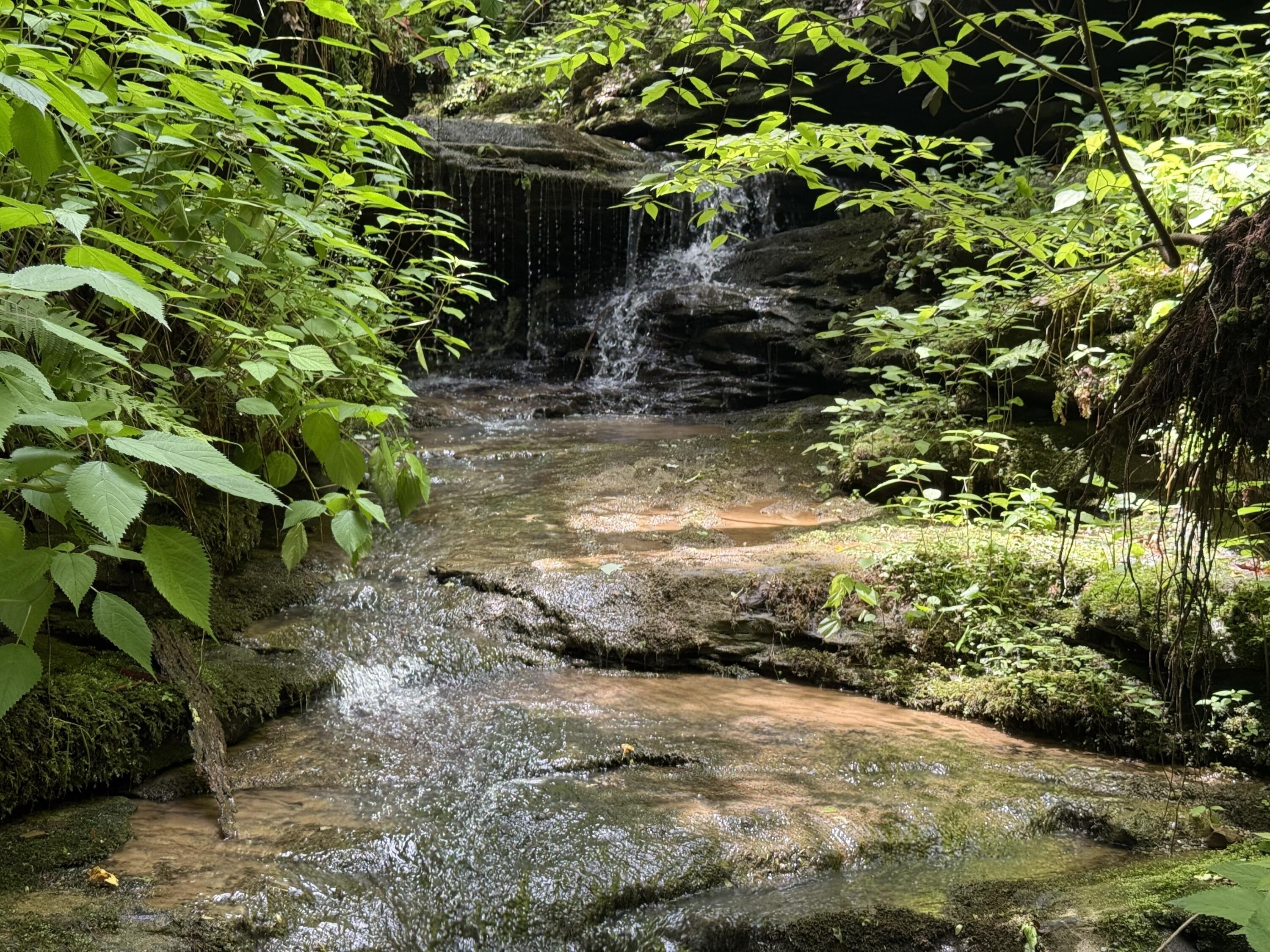342 Dewey Banks Road Campton, KY 41301 - Photo 31 of 64 031 seems like there are waterfalls hidd