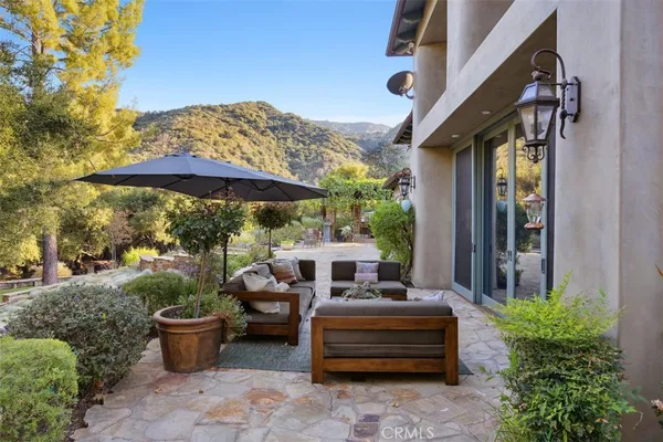 a view of a backyard with potted plants and large trees
