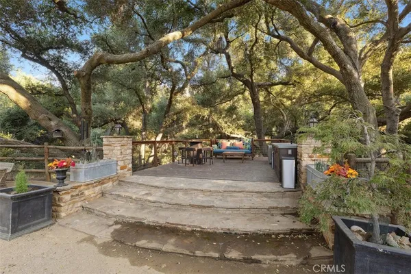 a view of a yard with a tree