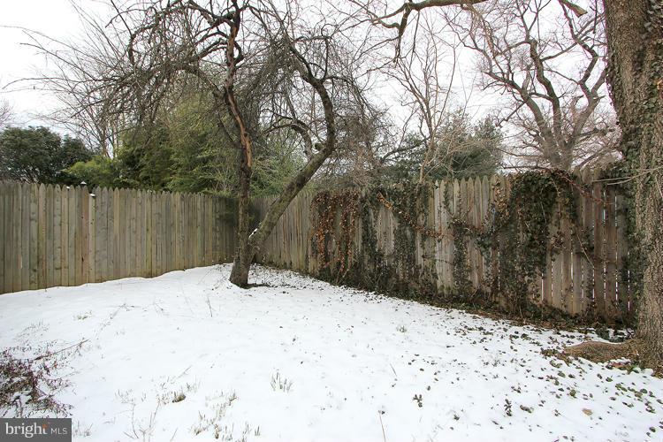9021 Glenville Road Silver Spring, MD 20901 - Photo 24 of 25 backyard