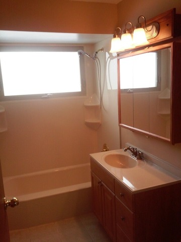 109 Highview Avenue Addison, IL 60101 - Photo 5 of 9