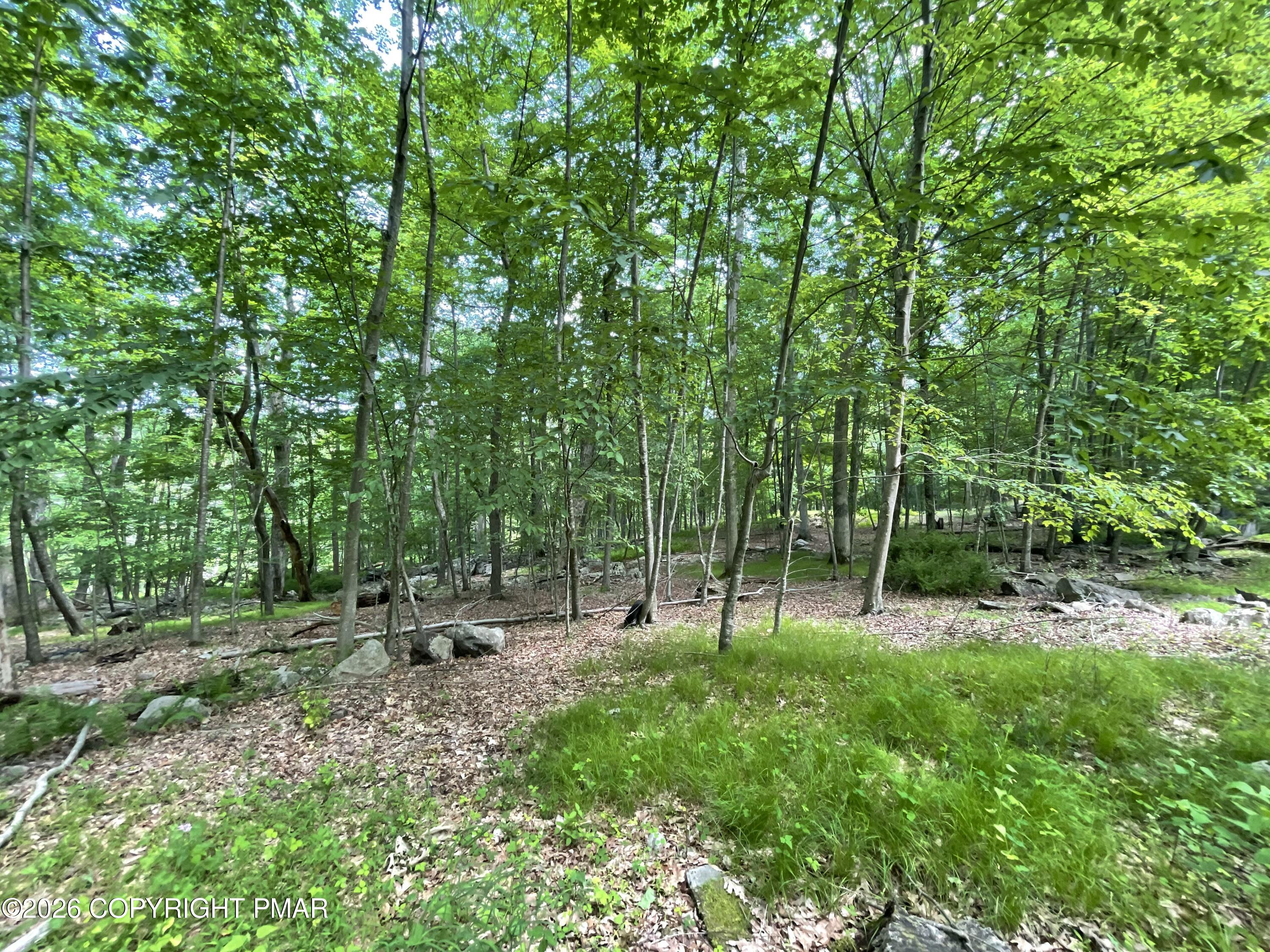252 Mud Run Road Cresco, PA 18326 - Photo 4 of 7 Woods