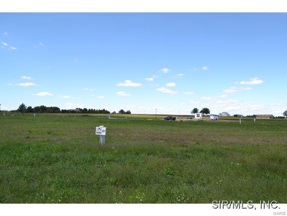 4661 Chestnut Ridge Way Smithton, IL 62285 - Photo 1 of 1 Gallery Image 1