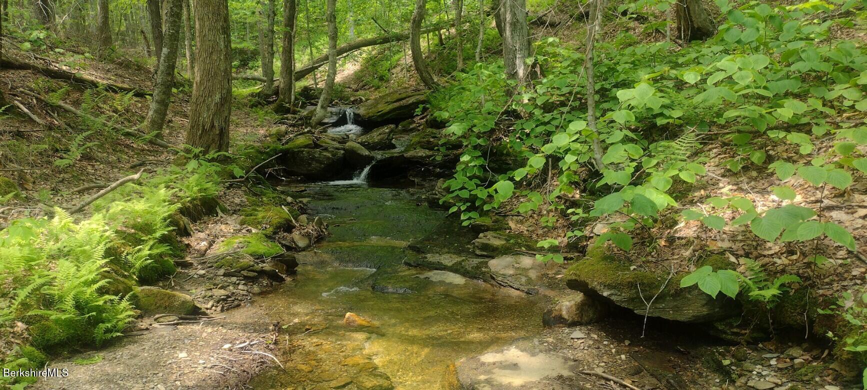 stream on property