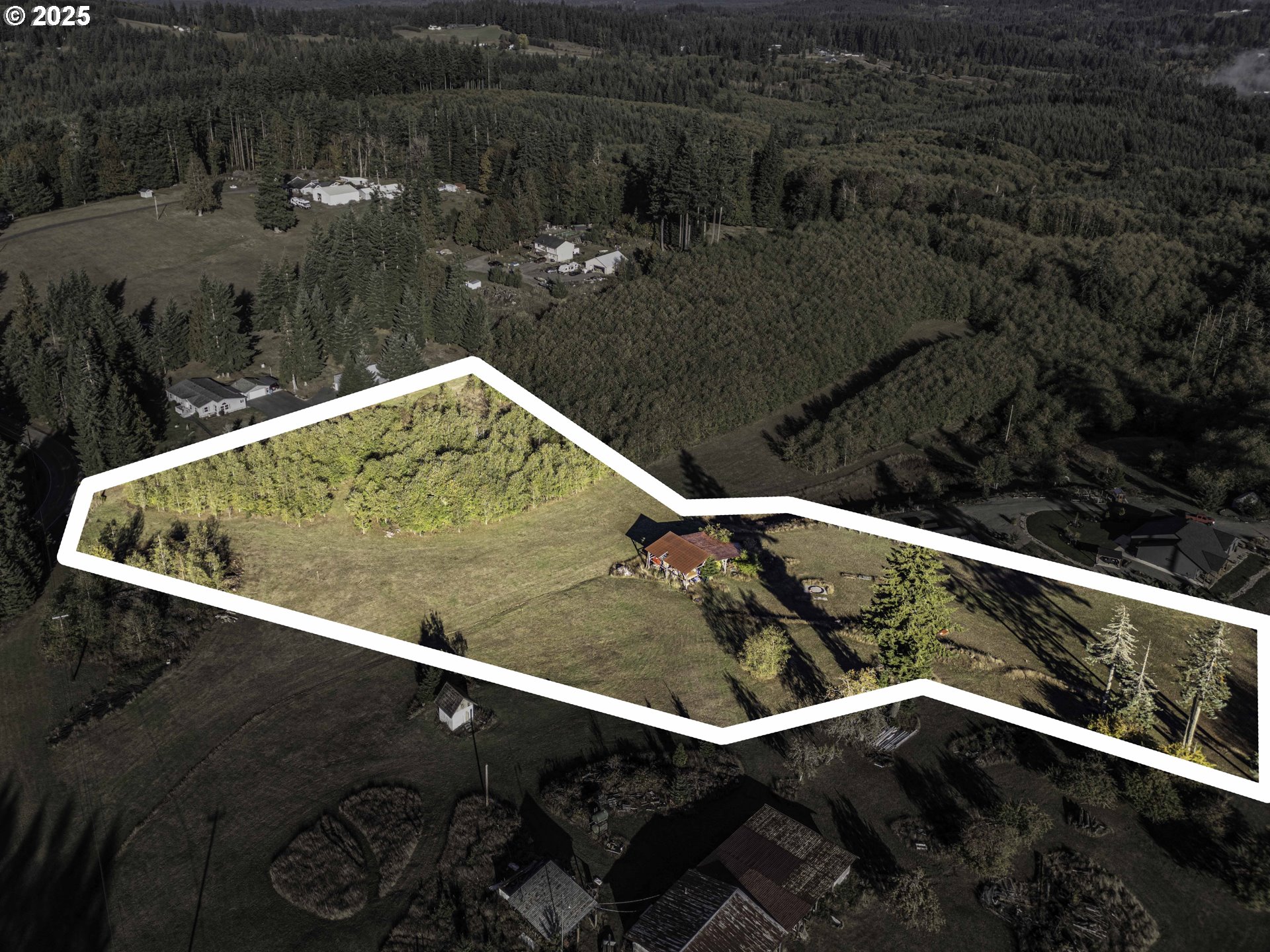 1480 South Silver Lake Road Castle Rock, WA 98611 - Photo 4 of 9 a view of swimming pool and mountain