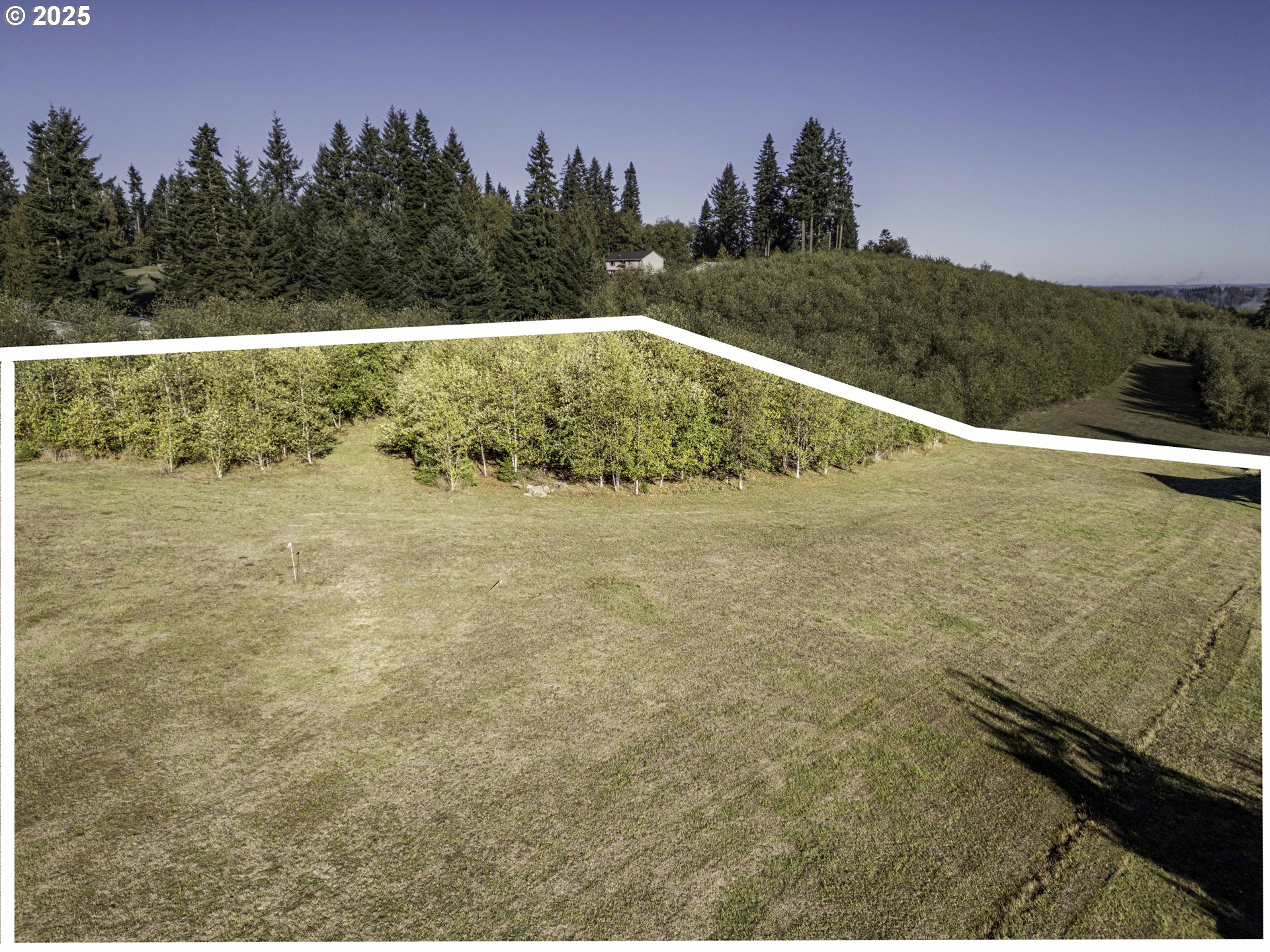 1480 South Silver Lake Road Castle Rock, WA 98611 - Photo 8 of 9 a view of a pathway both side of river and trees in the background