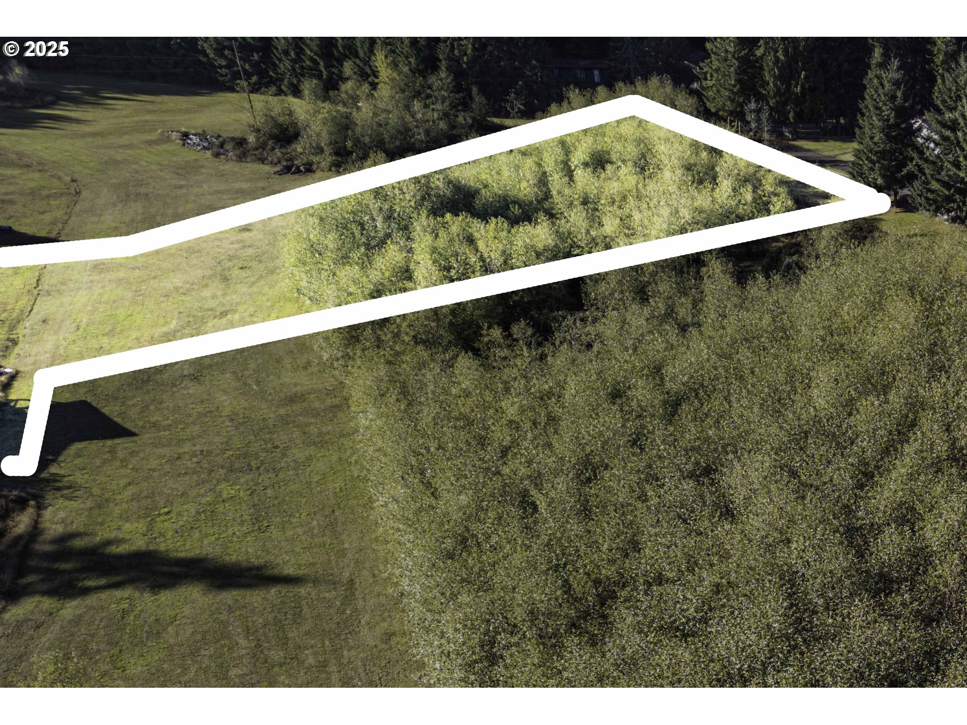 1480 South Silver Lake Road Castle Rock, WA 98611 - Photo 9 of 9 a view of mountain view