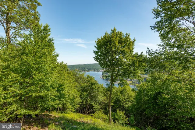 $1,439,000 | 165 Parkside N Court, McHenry, MD 21541