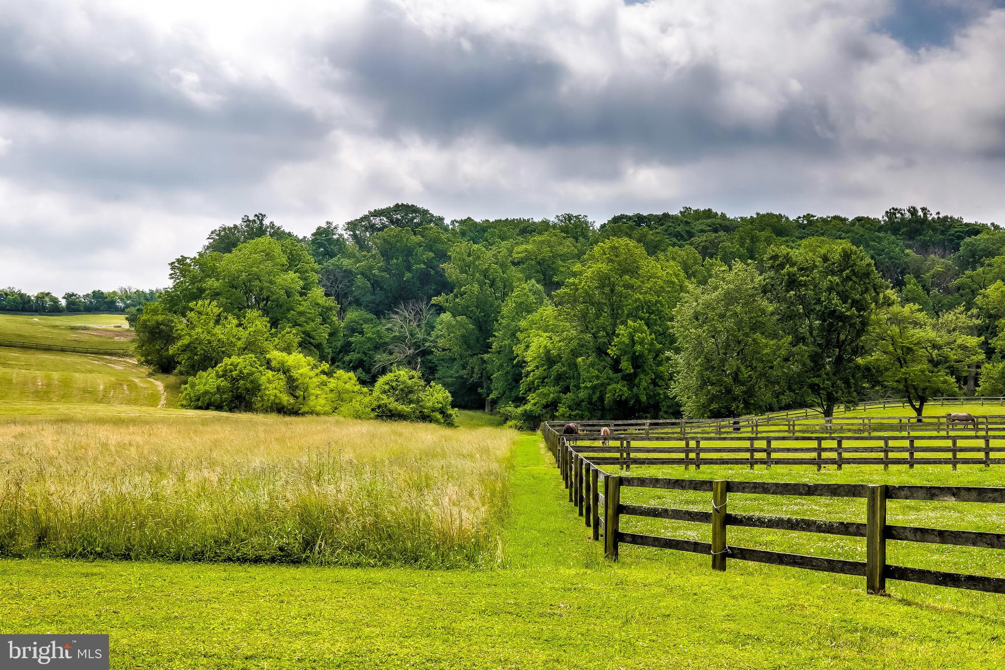 2501 Pocock Road Fallston, MD 21047 - Photo 11 of 100