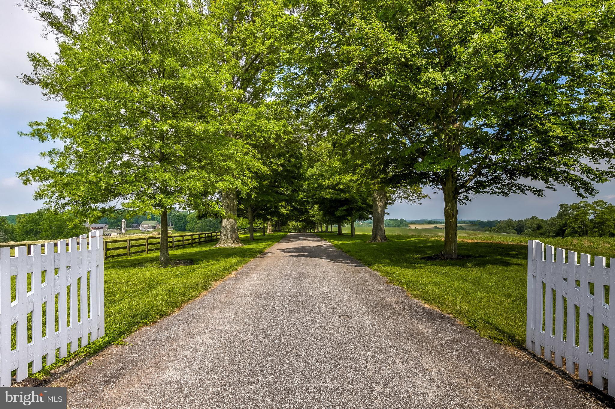 2501 Pocock Road Fallston, MD 21047 - Photo 12 of 100