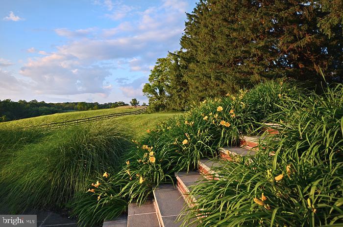 2501 Pocock Road Fallston, MD 21047 - Photo 28 of 100