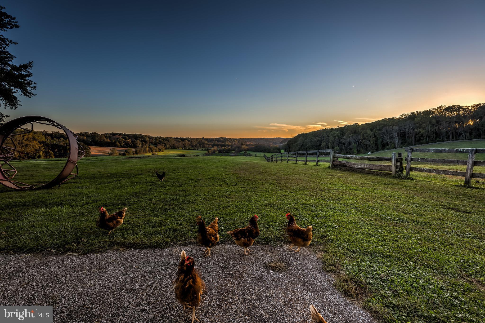 2501 Pocock Road Fallston, MD 21047 - Photo 36 of 100