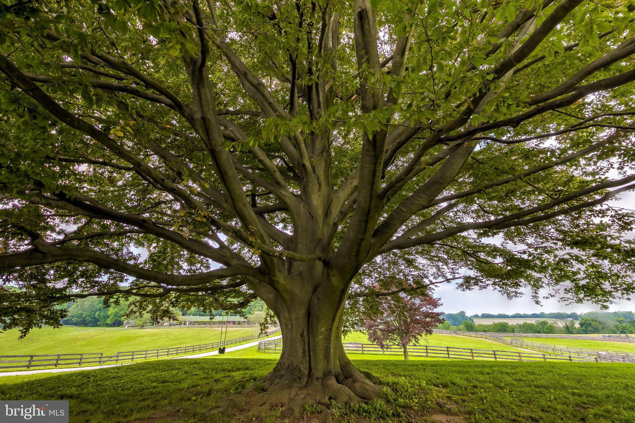 2501 Pocock Road Fallston, MD 21047 - Photo 47 of 100