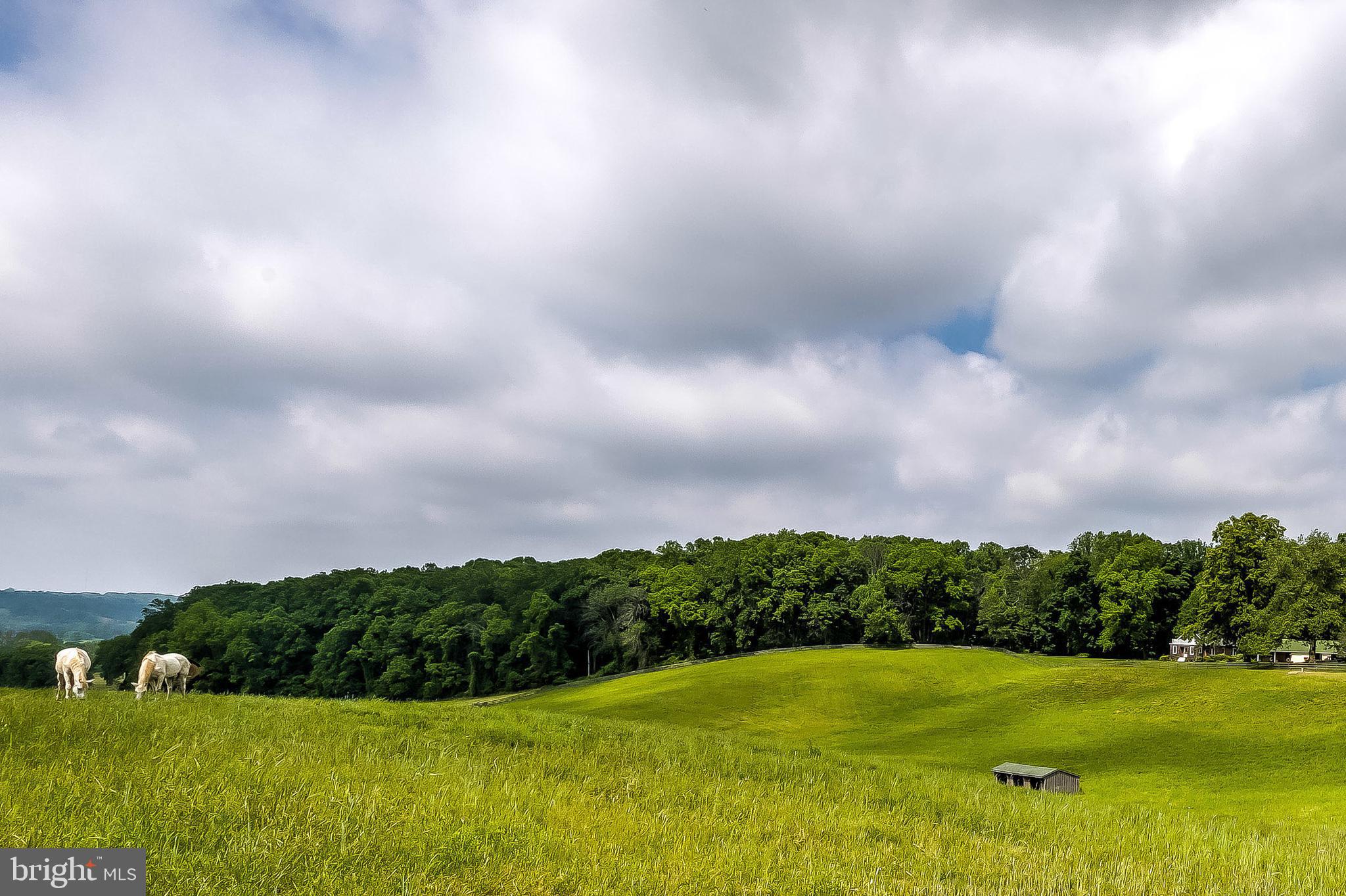 2501 Pocock Road Fallston, MD 21047 - Photo 48 of 100