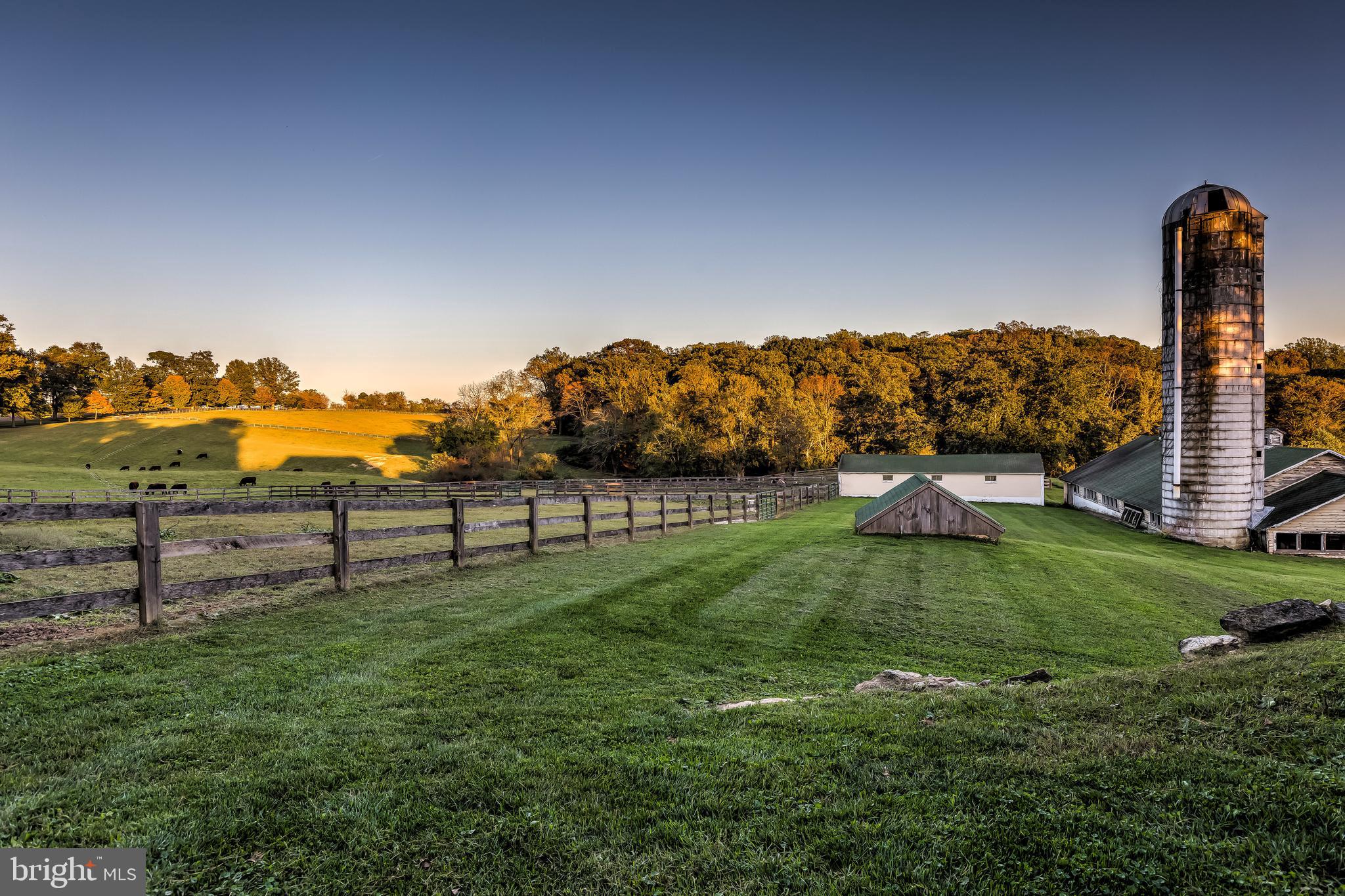 2501 Pocock Road Fallston, MD 21047 - Photo 54 of 100