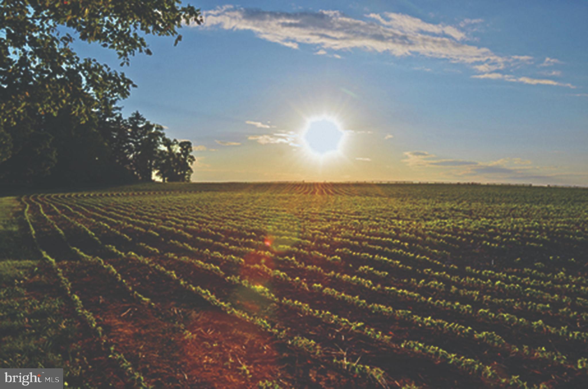 2501 Pocock Road Fallston, MD 21047 - Photo 56 of 100