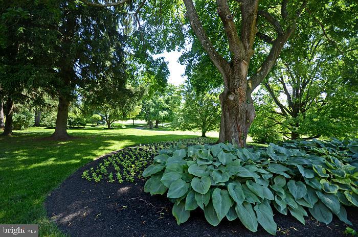 2501 Pocock Road Fallston, MD 21047 - Photo 60 of 100