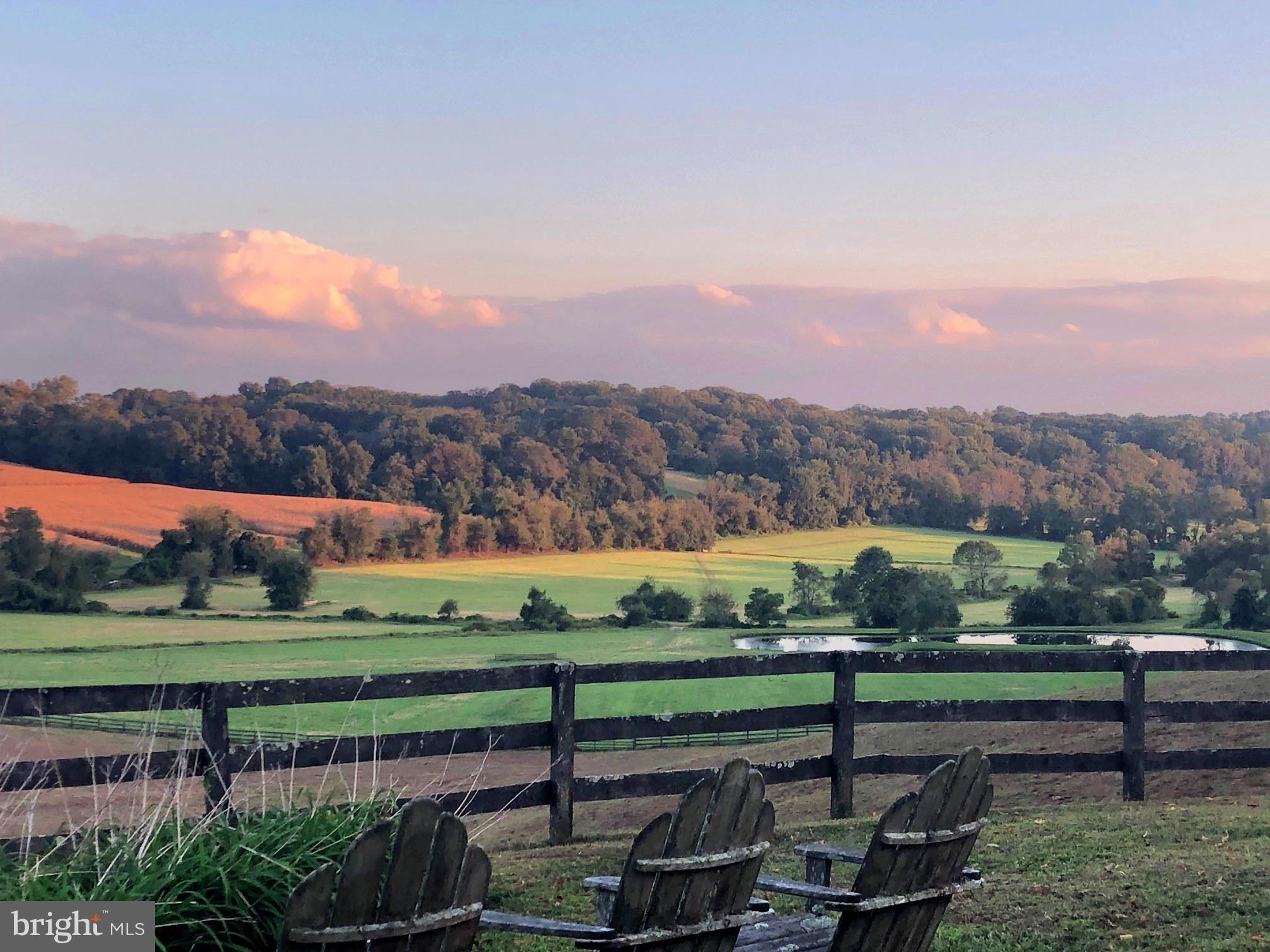 2501 Pocock Road Fallston, MD 21047 - Photo 7 of 100