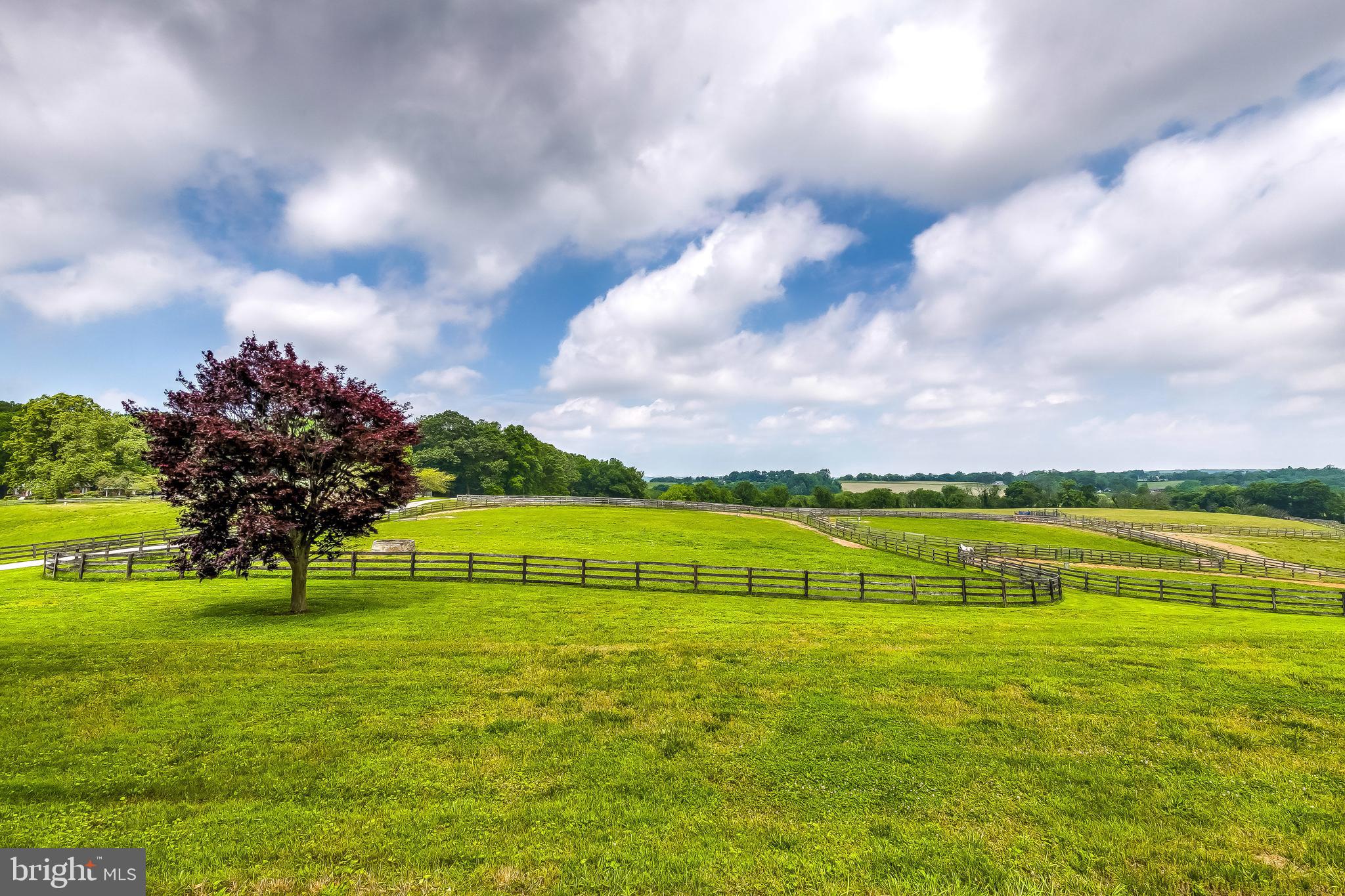 2501 Pocock Road Fallston, MD 21047 - Photo 64 of 100