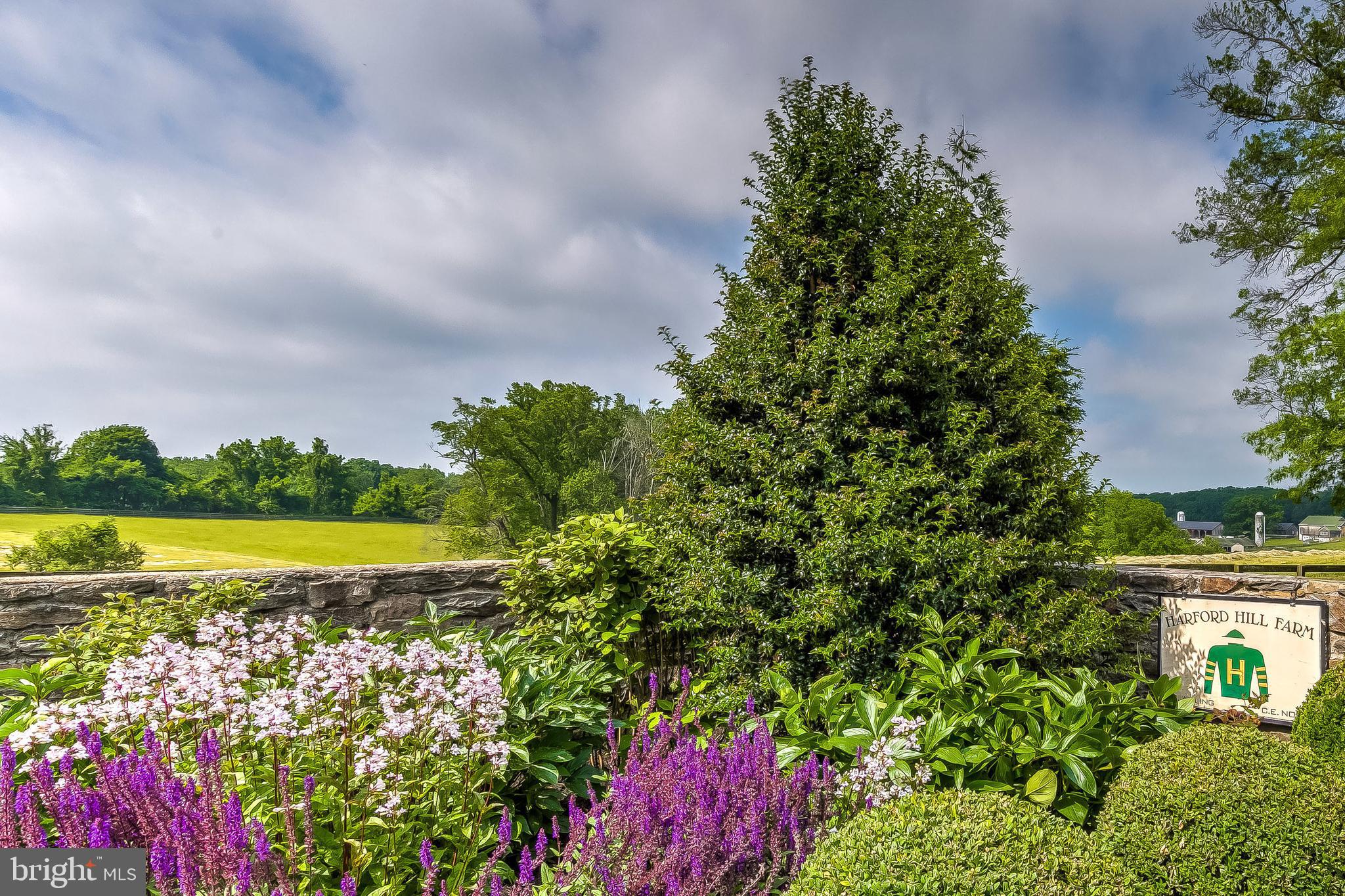 2501 Pocock Road Fallston, MD 21047 - Photo 8 of 100