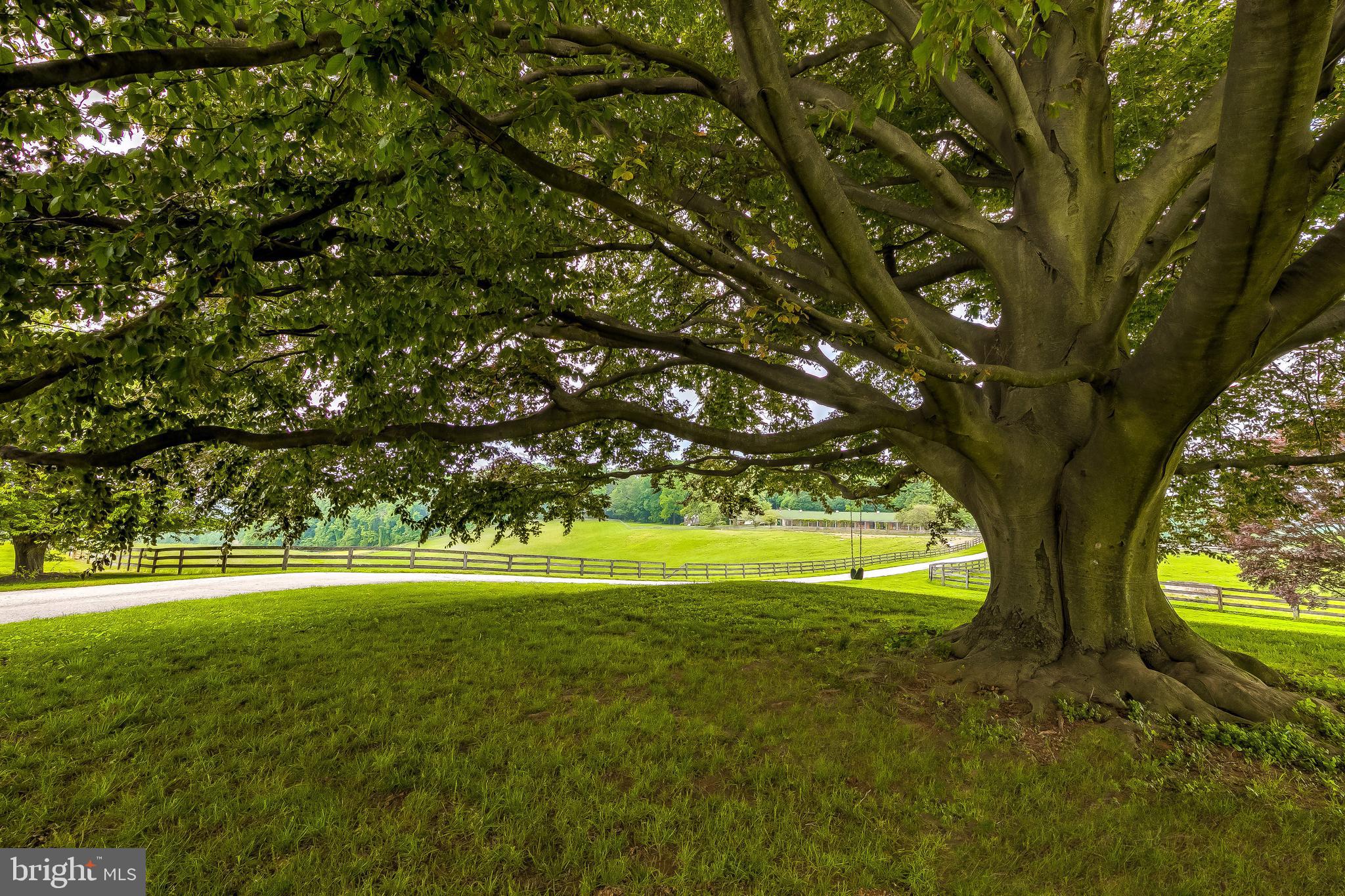 2501 Pocock Road Fallston, MD 21047 - Photo 73 of 100