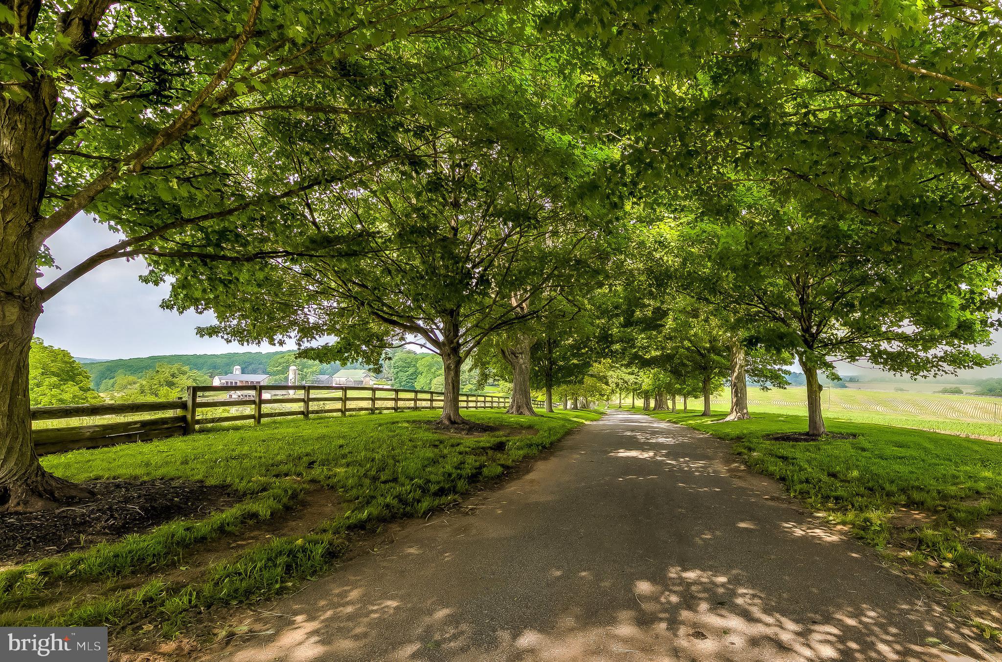 2501 Pocock Road Fallston, MD 21047 - Photo 75 of 100