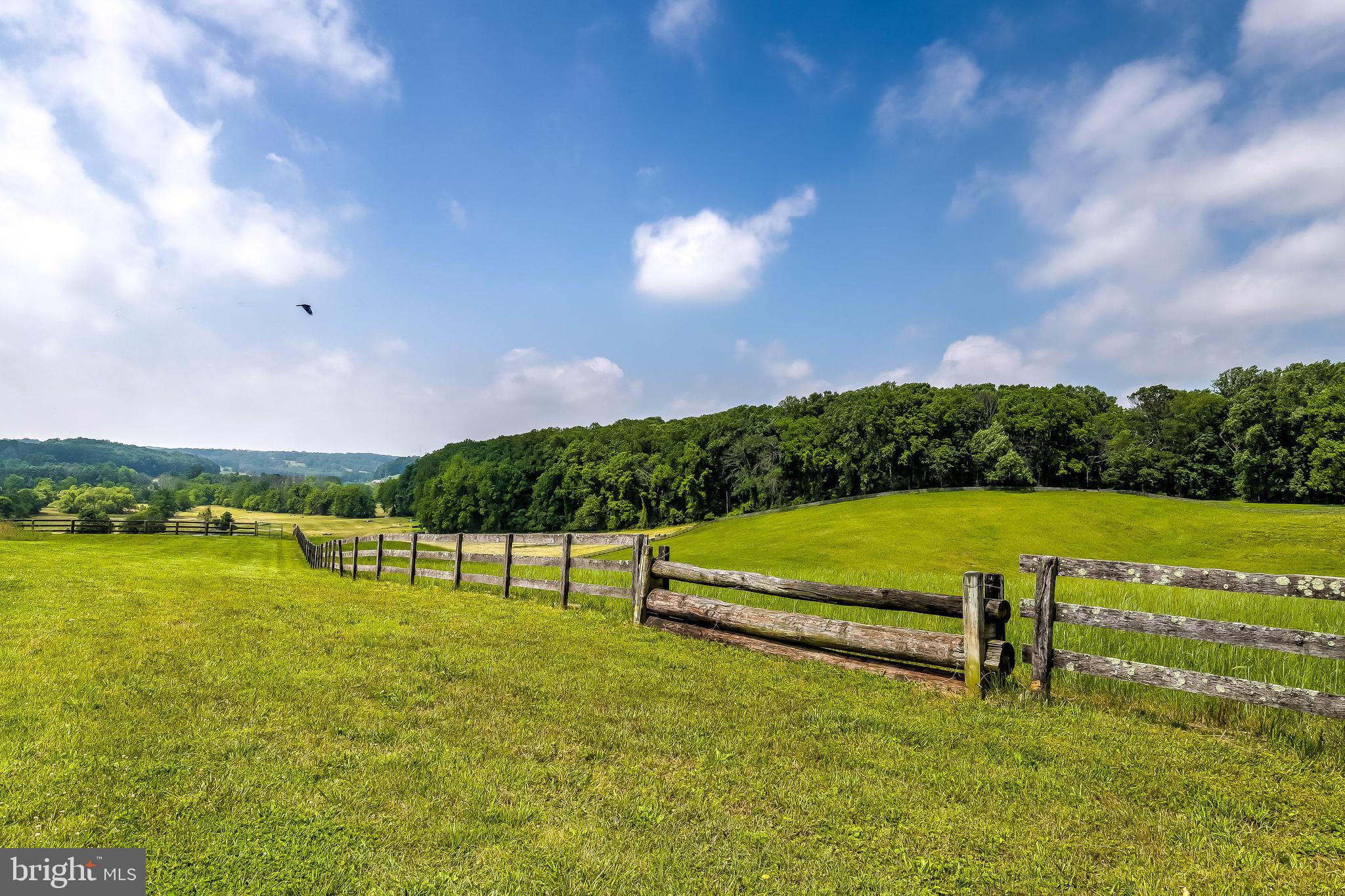 2501 Pocock Road Fallston, MD 21047 - Photo 78 of 100