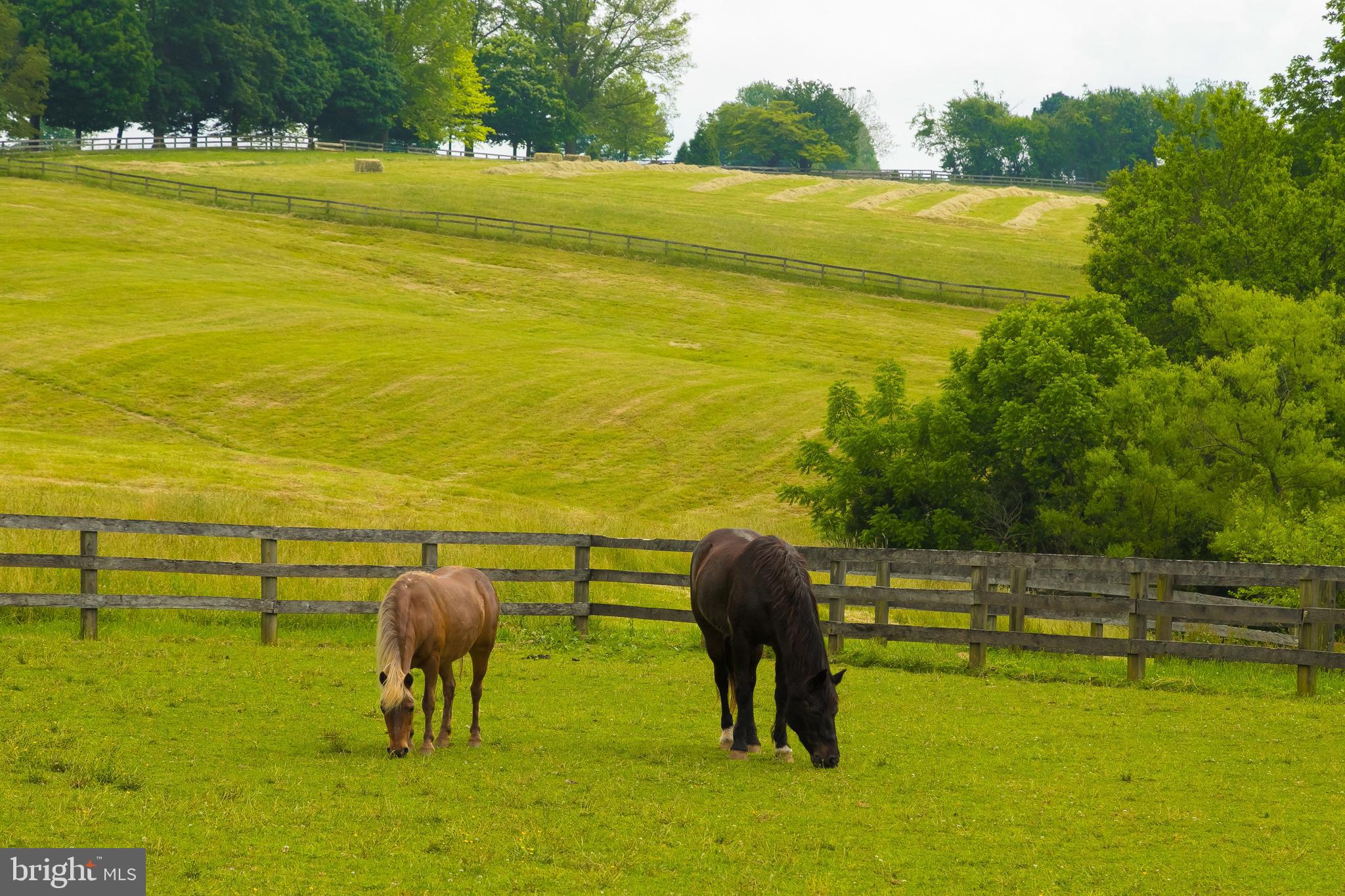 2501 Pocock Road Fallston, MD 21047 - Photo 79 of 100