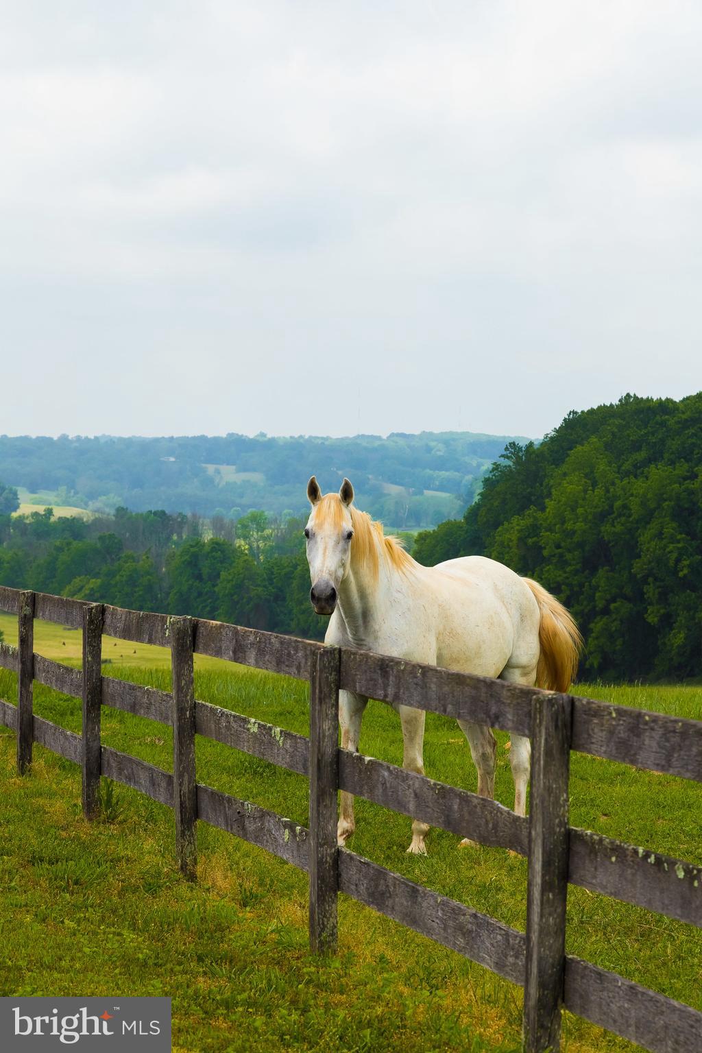2501 Pocock Road Fallston, MD 21047 - Photo 83 of 100