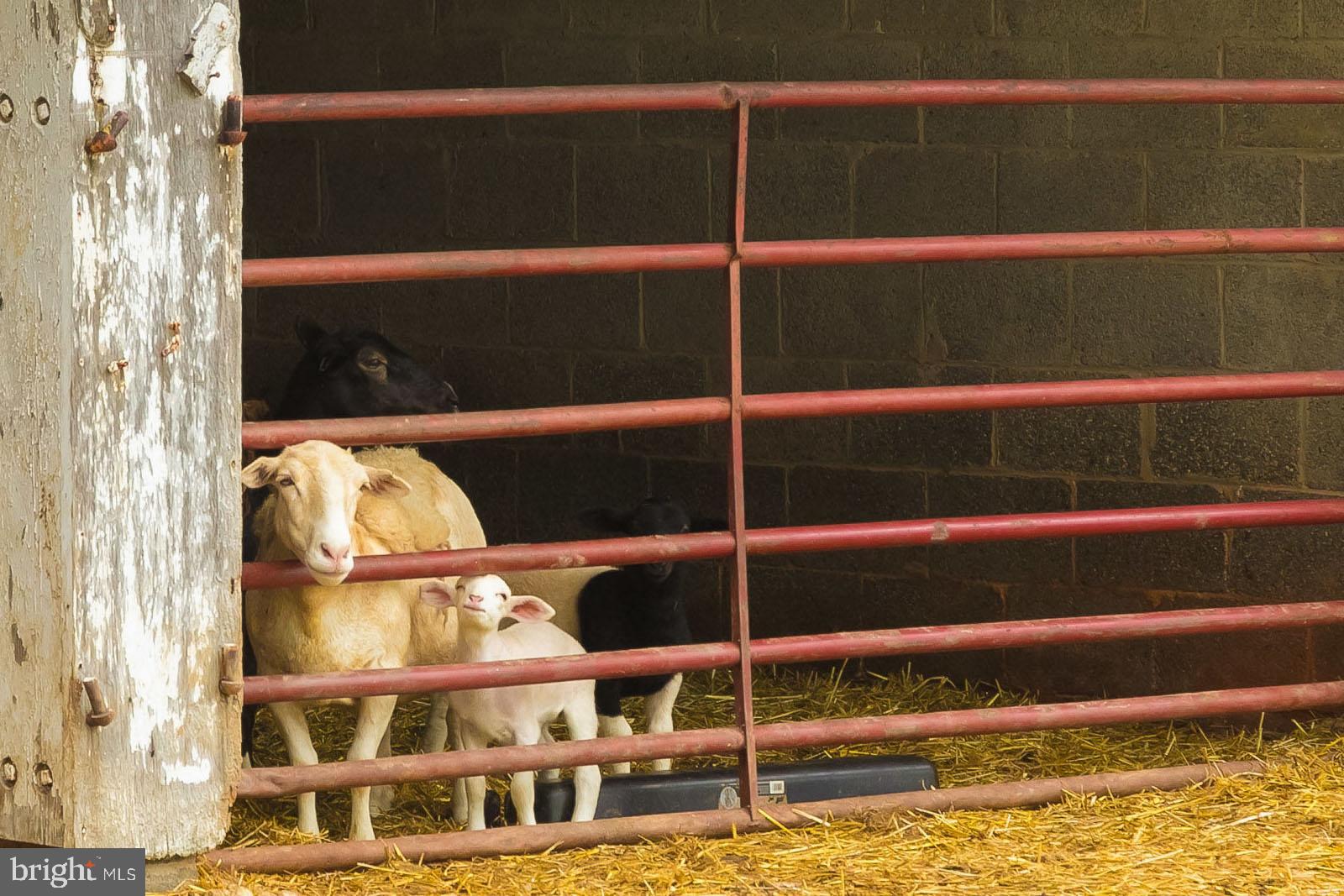 2501 Pocock Road Fallston, MD 21047 - Photo 84 of 100