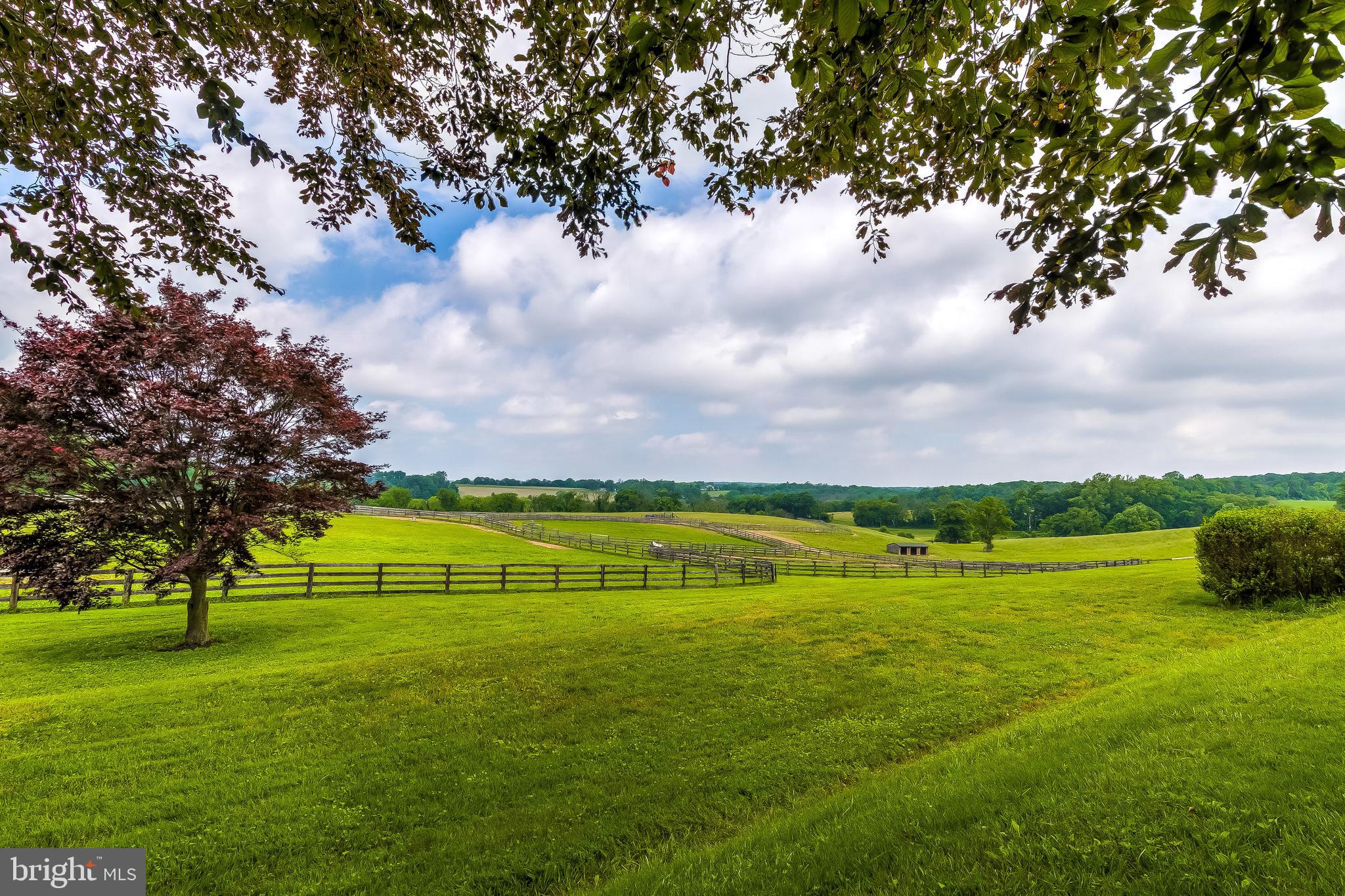2501 Pocock Road Fallston, MD 21047 - Photo 88 of 100