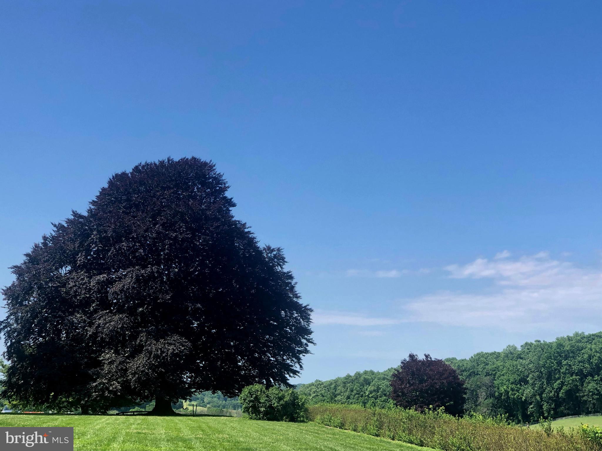 2501 Pocock Road Fallston, MD 21047 - Photo 99 of 100