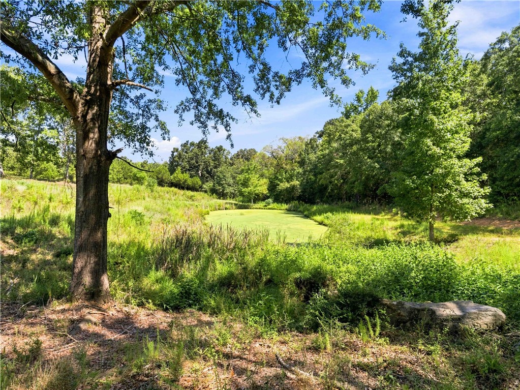 2861 Fairview Road Simpsonville, SC 29680 - Photo 40 of 42 Mature trees frame a quiet pond nestled in a private, grassy clearing.