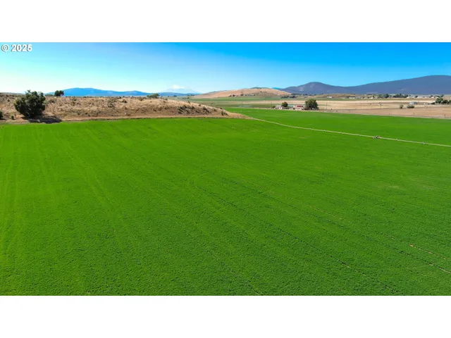 a open area with grassy field
