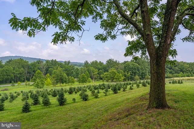 261 Hopeland Road Lititz, PA 17543 - Photo 27 of 34