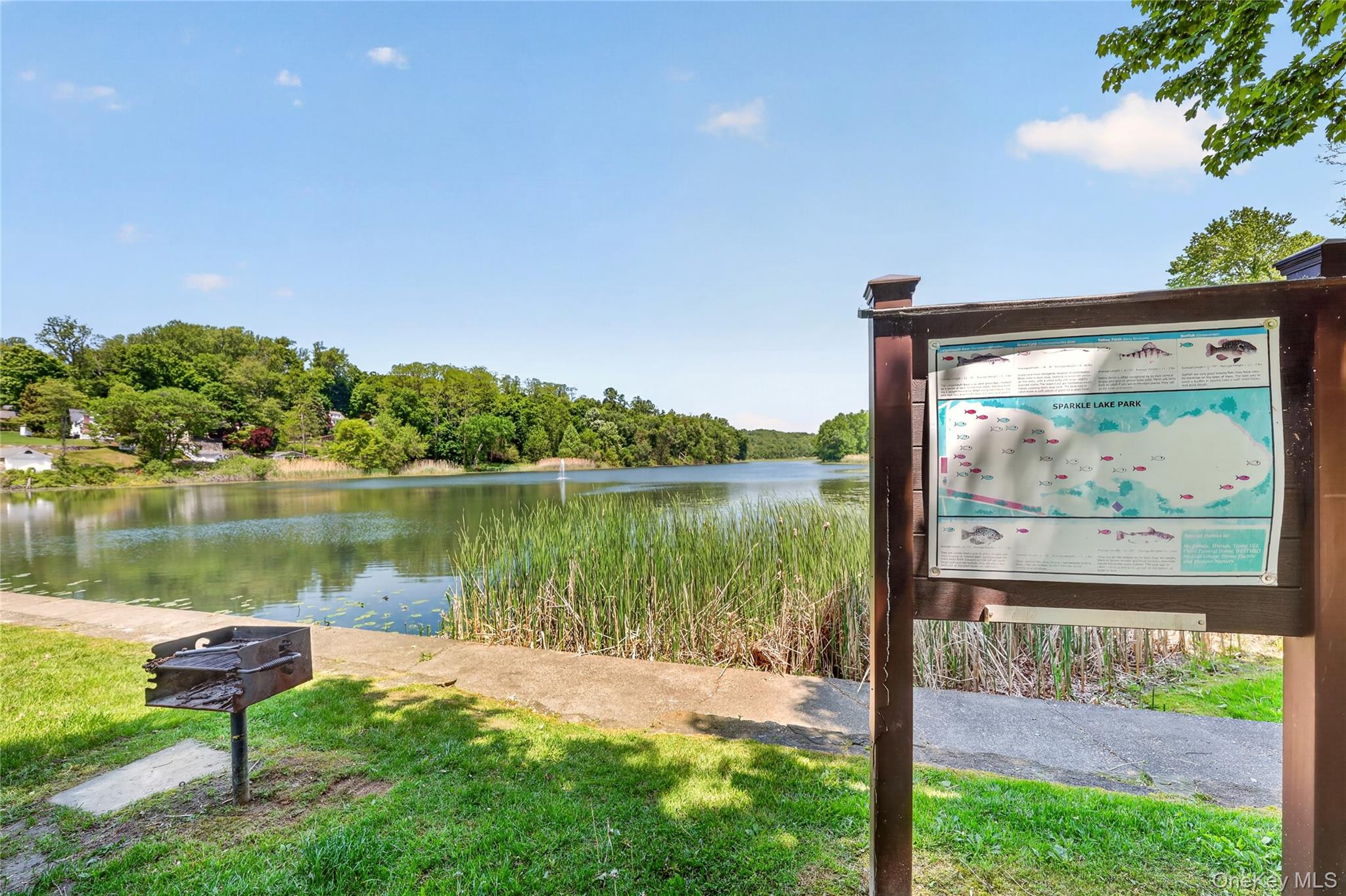 232 Cherry Road Yorktown Heights, NY 10598 - Photo 19 of 21 a view of a lake from a yard