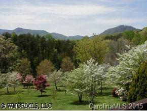 195 Mimosa Road Tryon, NC 28782 - Photo 4 of 6 a view of a city