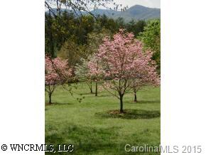 195 Mimosa Road Tryon, NC 28782 - Photo 5 of 6 a view of a garden