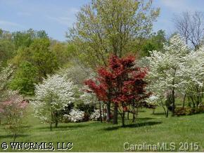195 Mimosa Road Tryon, NC 28782 - Photo 6 of 6 a view of a park