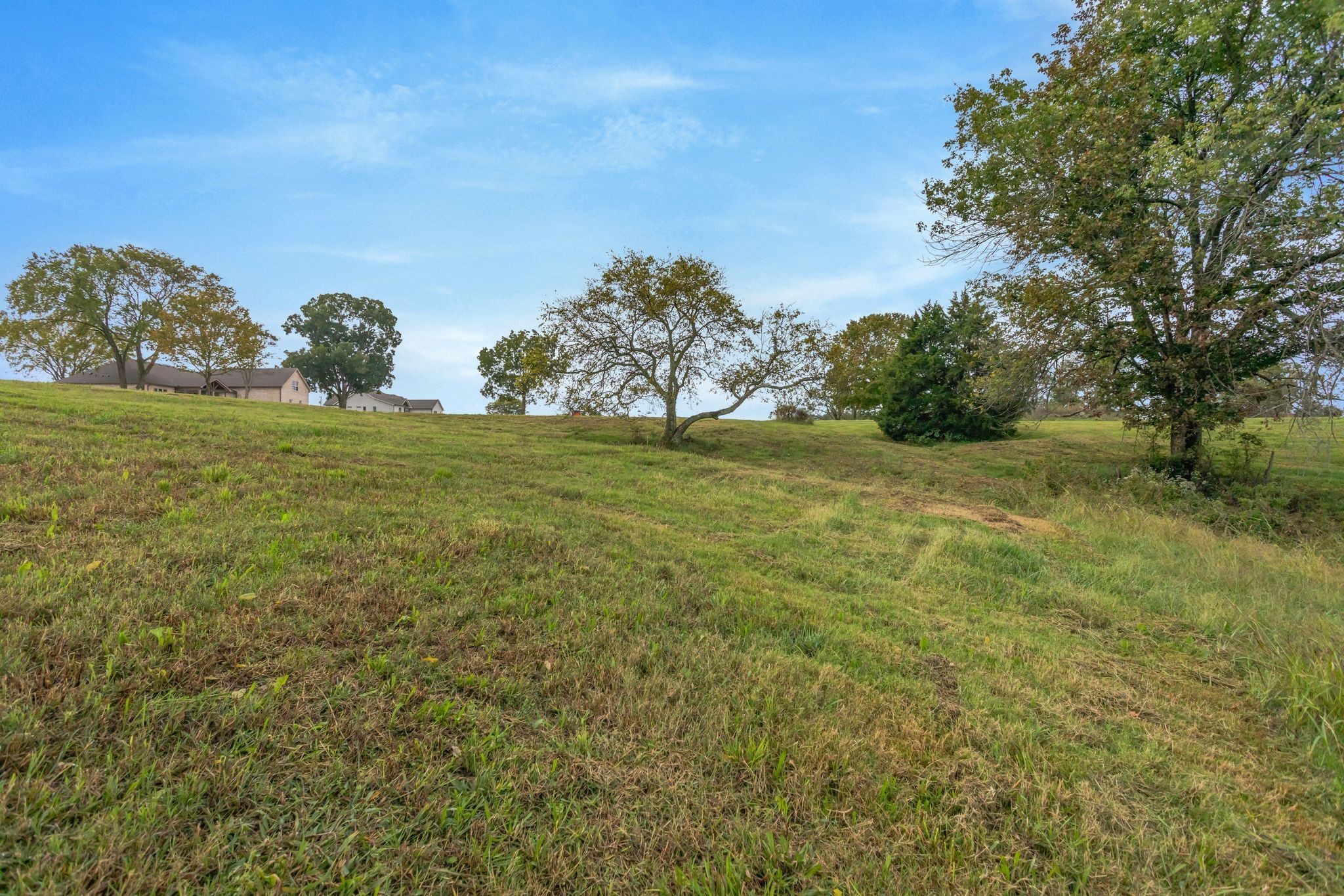 1613 John Sharp Road Spring Hill, TN 37174 - Photo 58 of 58 Gallery Image 58