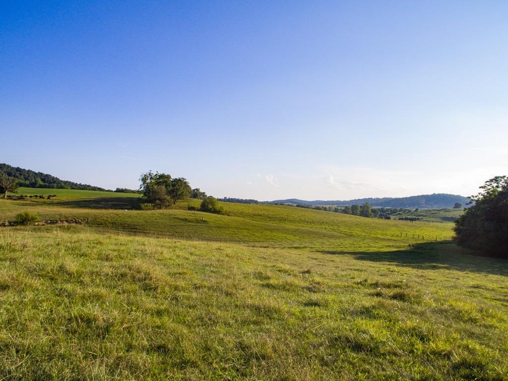 Tbd Fridleys Gap Road Harrisonburg, VA 22802 - Photo 15 of 26 Gallery Image 15