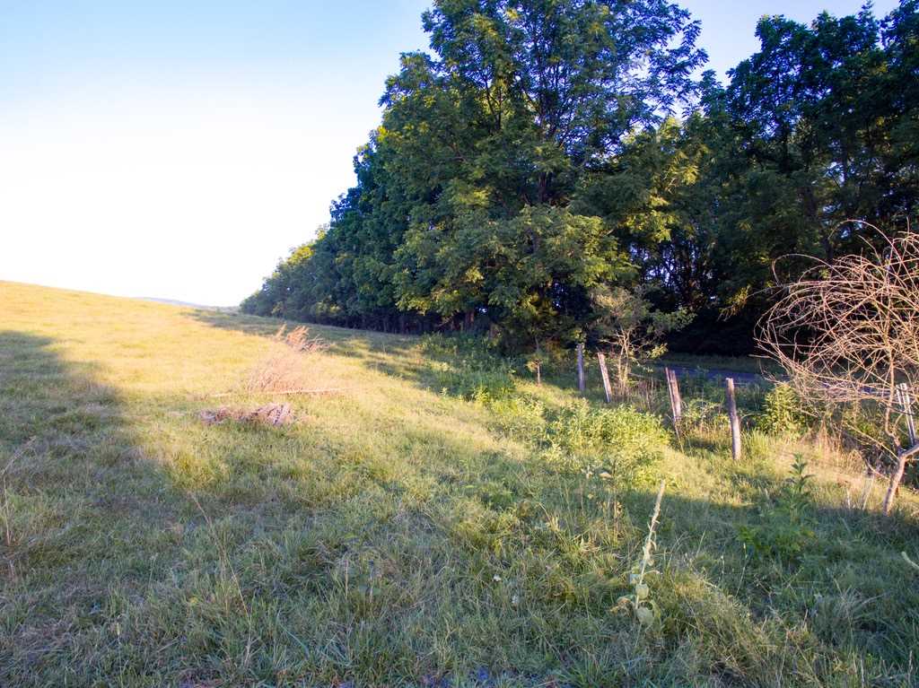 Tbd Fridleys Gap Road Harrisonburg, VA 22802 - Photo 17 of 26 Gallery Image 17
