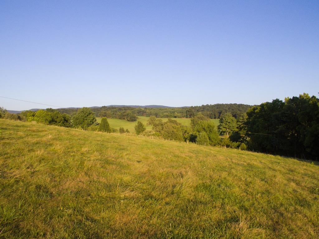 Tbd Fridleys Gap Road Harrisonburg, VA 22802 - Photo 19 of 26 Gallery Image 19