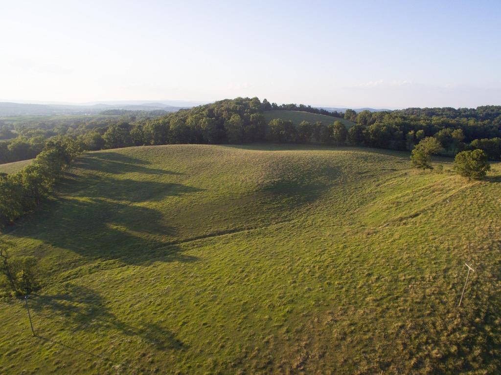 Tbd Fridleys Gap Road Harrisonburg, VA 22802 - Photo 20 of 26 Gallery Image 20